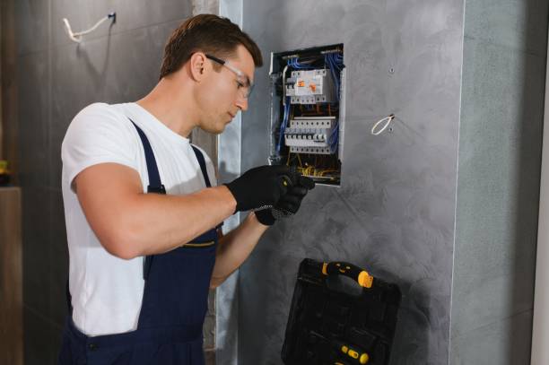 Best Electrical System Inspection  in Bottineau, ND